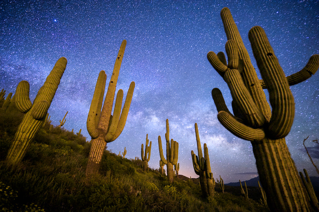 Photo Tips for Night Sky Photography