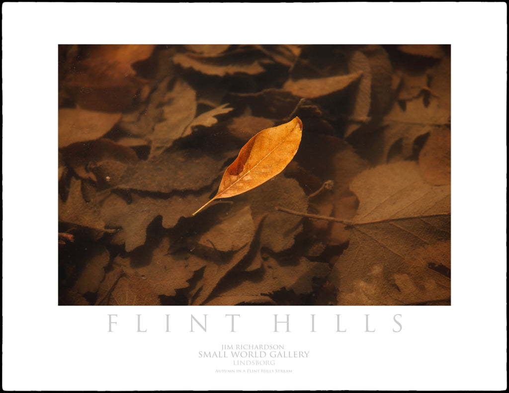Autumn in the Stream (2) - Flint Hills of KS