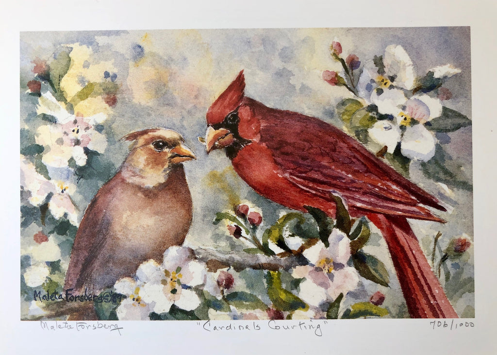 Cardinals Courting