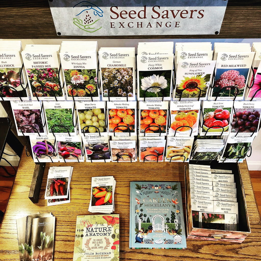The Art of Seeds