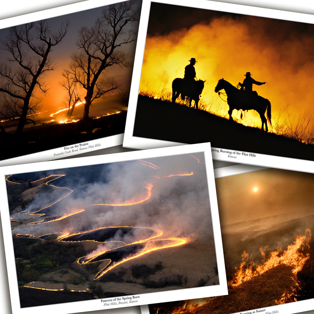 Burning of the Flint Hills Cards - Box of 8