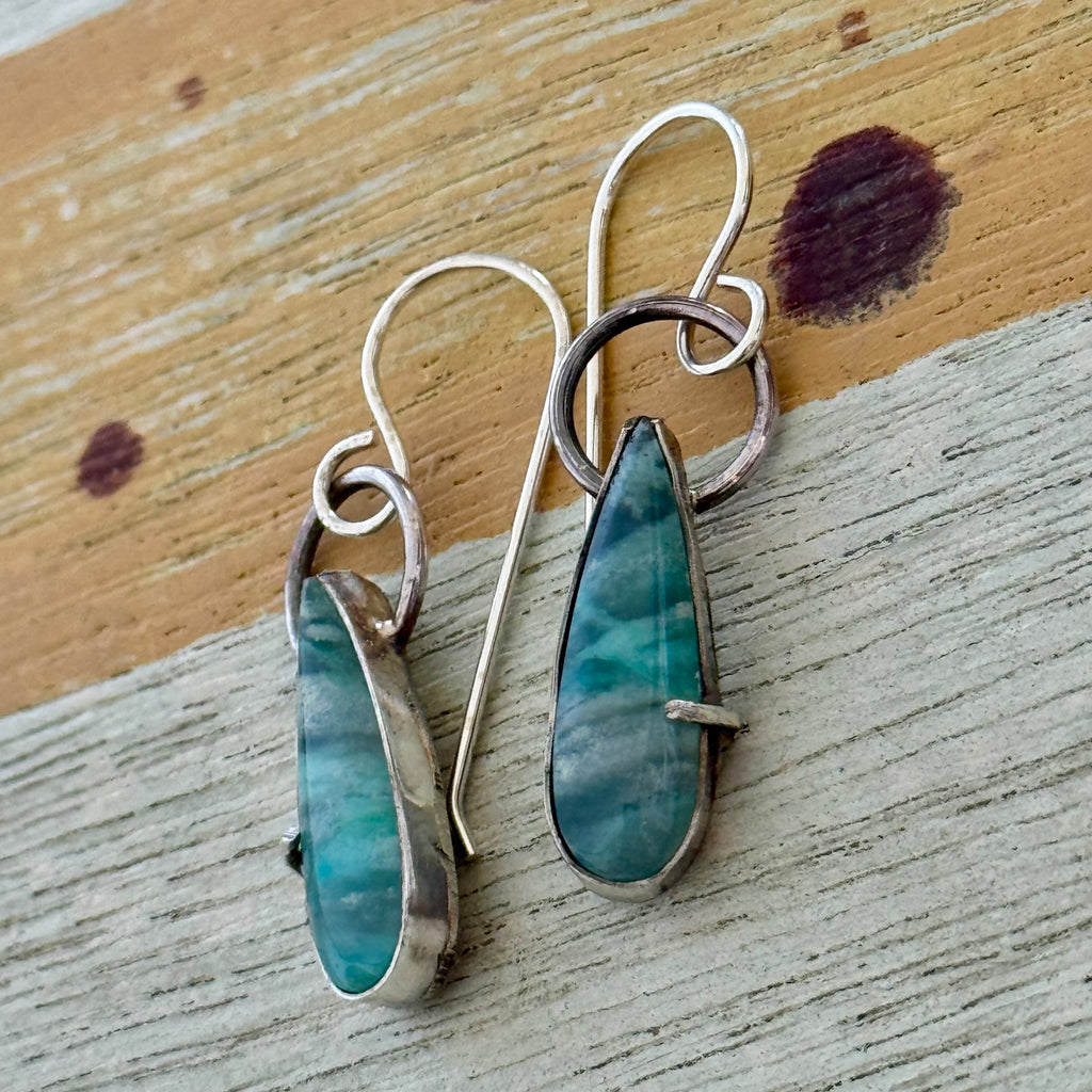 Opalized Petrified Wood