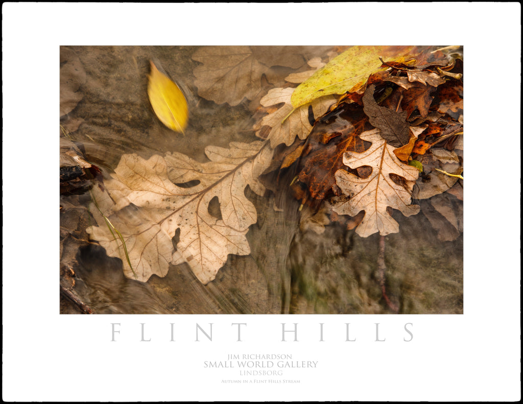 Autumn in the Stream - Flint Hills of KS
