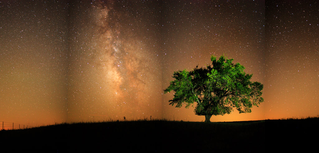 Under the Milky Way