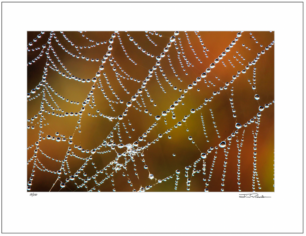 Dew in the Morning, Flint Hills, Kansas