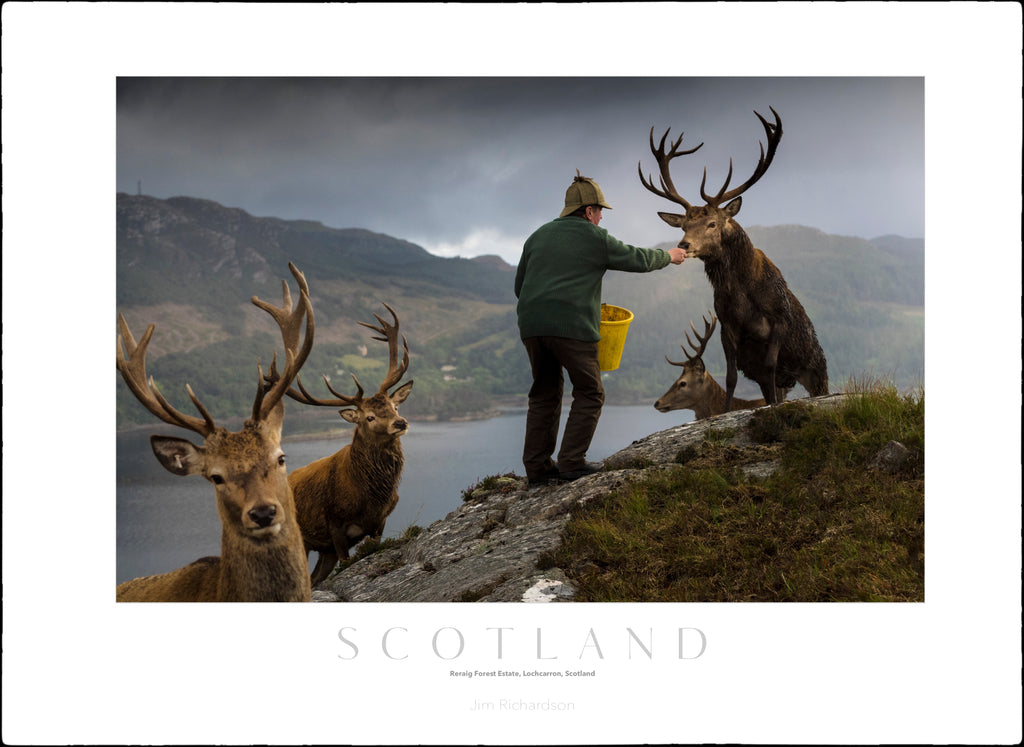 Reraig Forest Estate Deer, Scotland