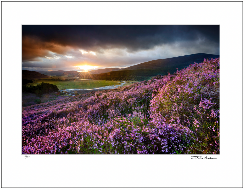 Heather Covered Hills