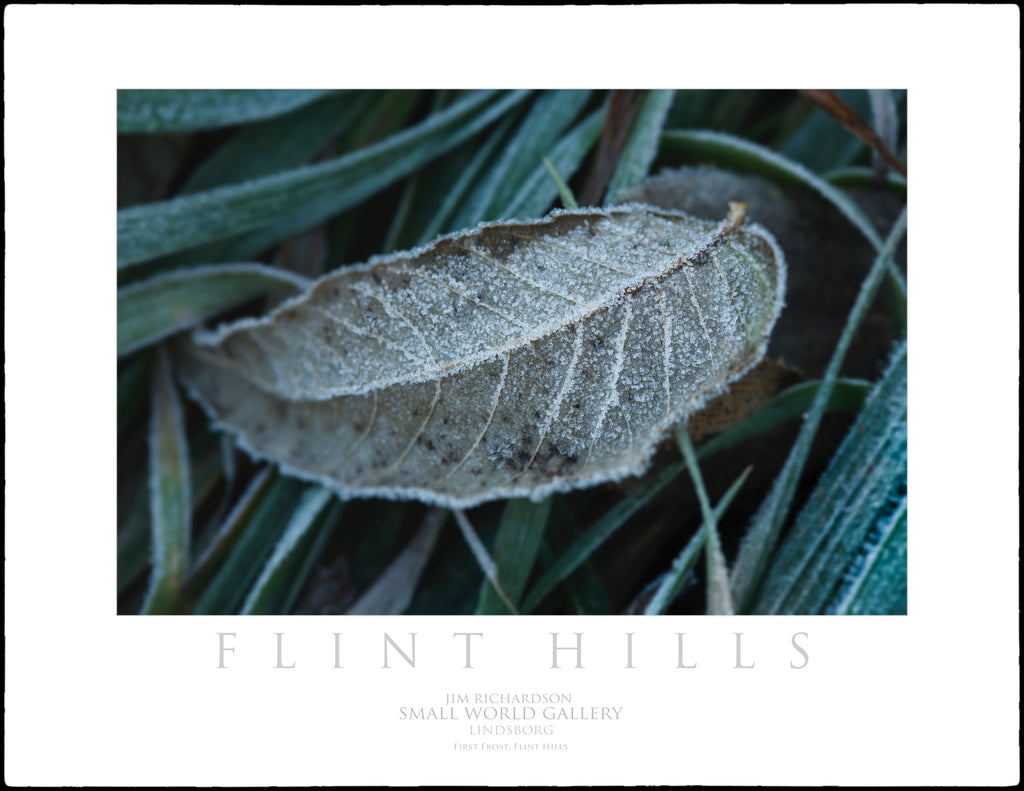 First Frost Leaf - Flint Hills of KS