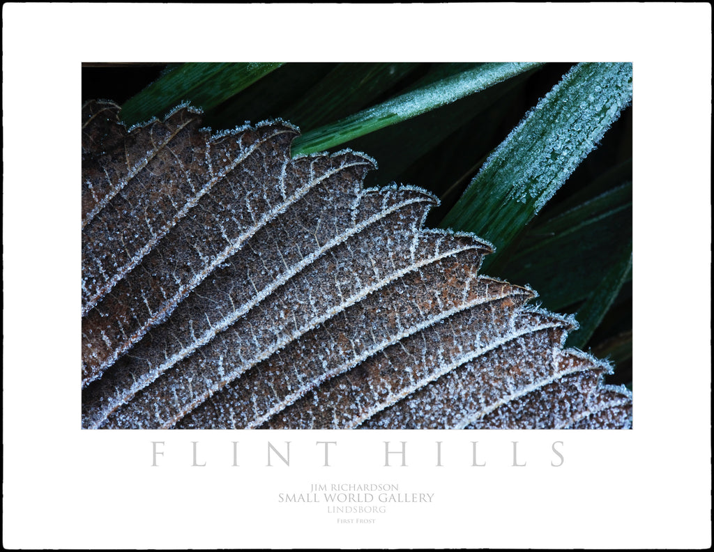 First Frost - Flint Hills of KS