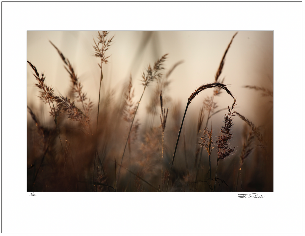 Foggy Autumn Morning, Flint Hills, Kansas