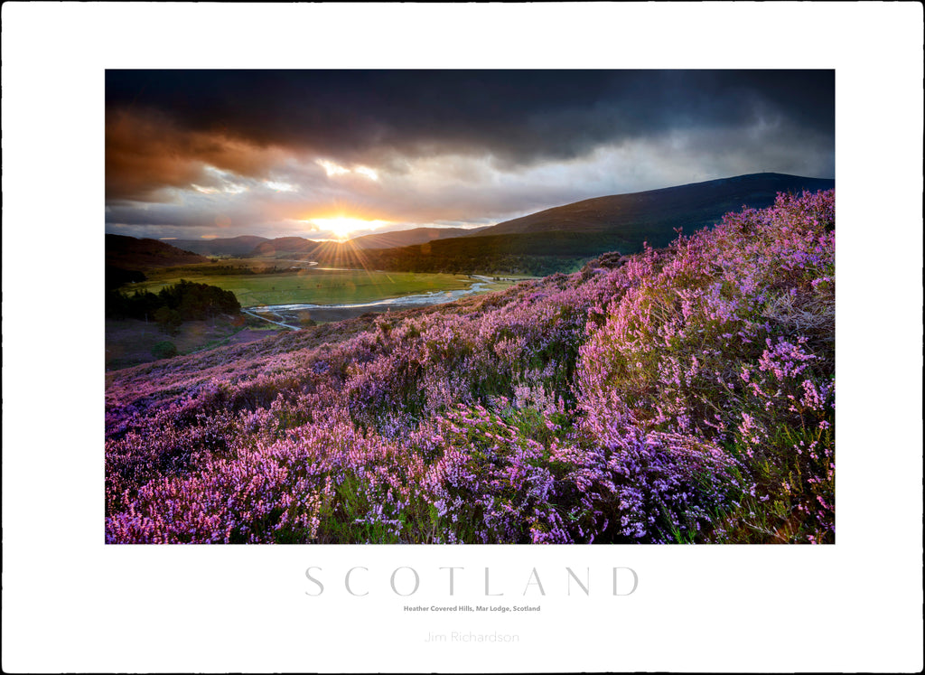 Heather Covered Hills