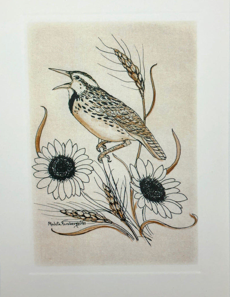 Meadowlark Card Set