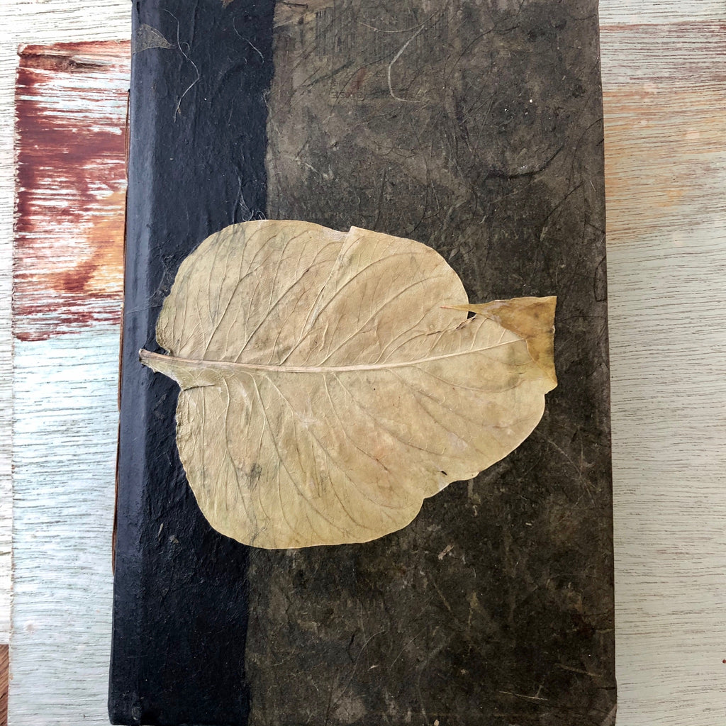 Nature- Handmade Journal/Sketch Book