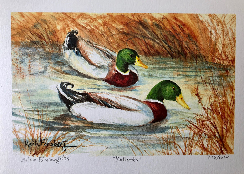 Mallards