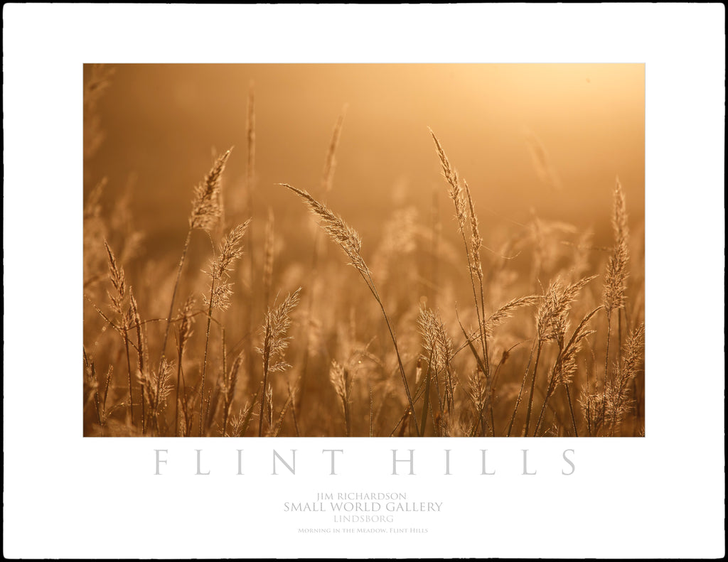 Morning in the Meadow - Flint Hills of KS