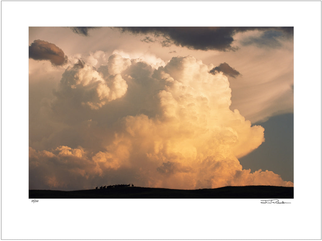 After the Storm, Sandhills