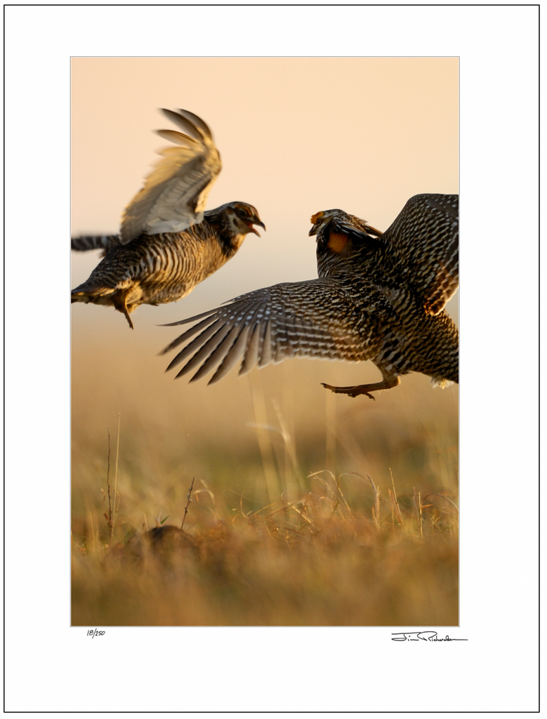 Booming Grounds Battle, Flint Hills, Kansas