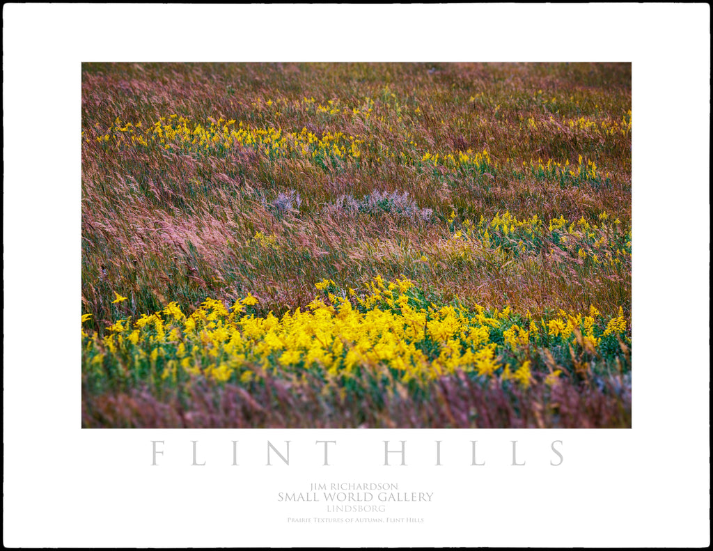 Prairie Textures of Autumn - Flint Hills of KS