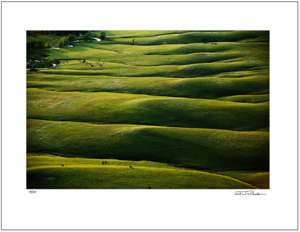 A Sea of Hills, Flint Hills, Kansas