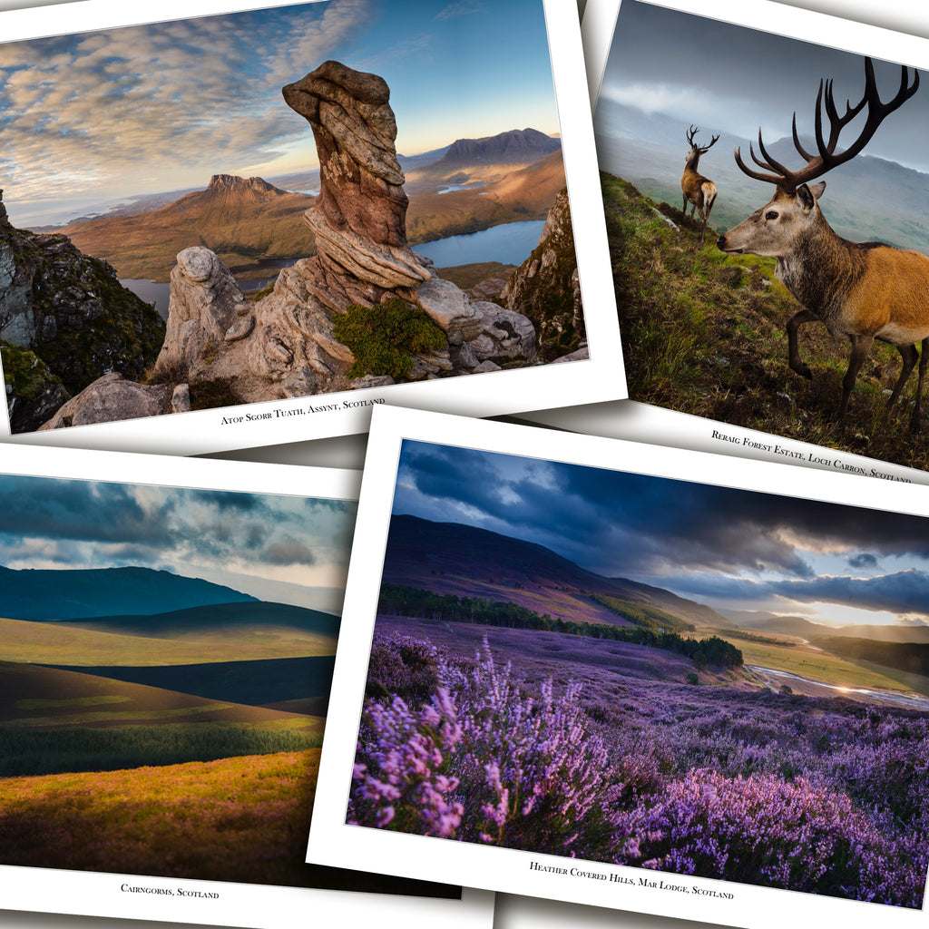 Scottish Moors Cards - Box of 8