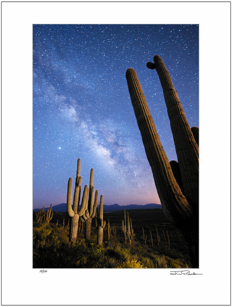 Milky Way and Cactus, Arizona