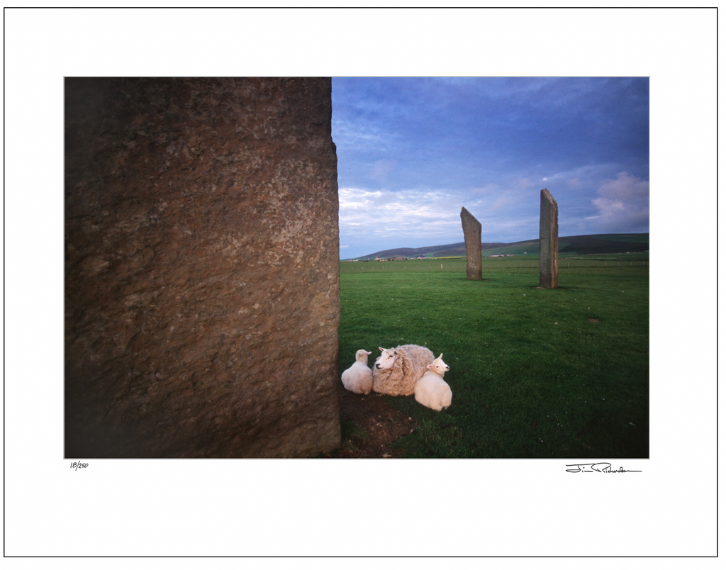 Bedding Down, Stones of Stenness, Orkney, Scotland